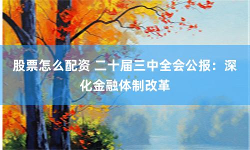 股票怎么配资 二十届三中全会公报：深化金融体制改革