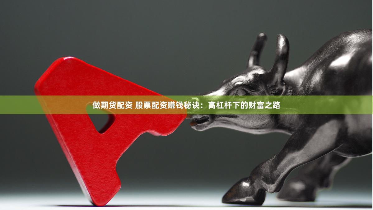 做期货配资 股票配资赚钱秘诀：高杠杆下的财富之路