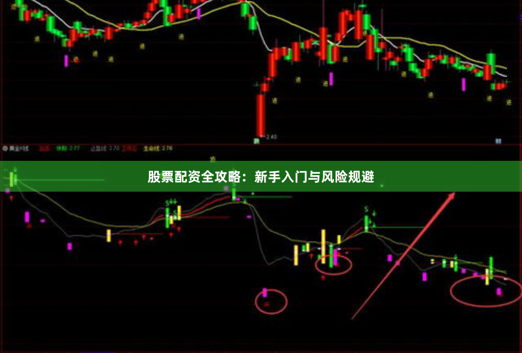 股票配资全攻略：新手入门与风险规避