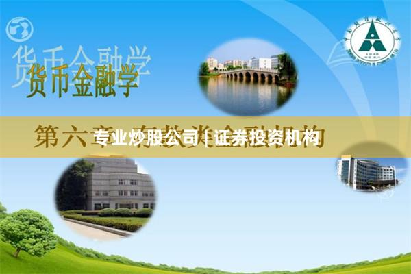 专业炒股公司 | 证券投资机构